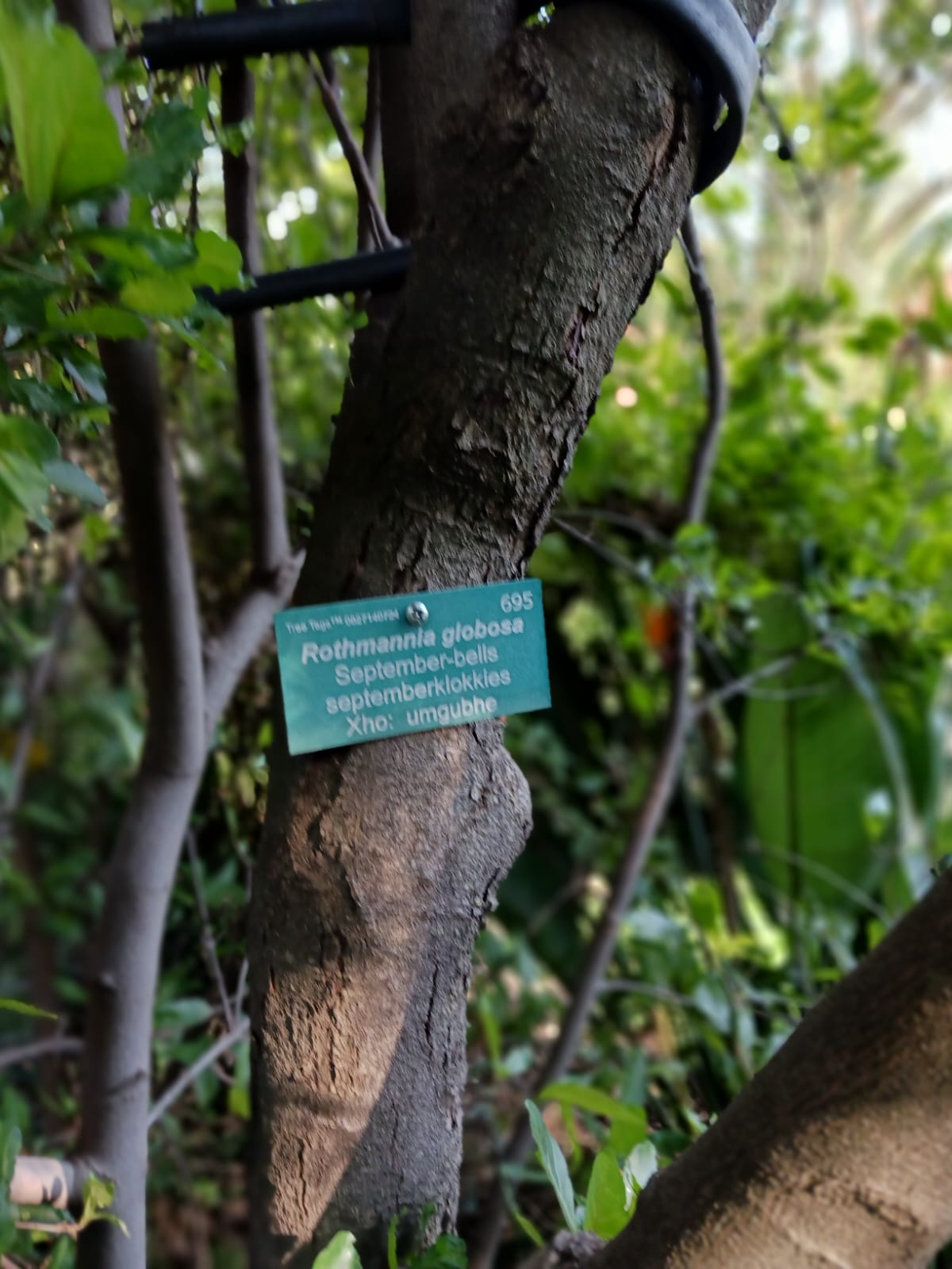 IMG-20230619-WA0032